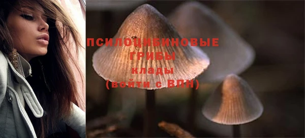 дмт Абаза